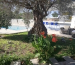 KaizerAgrotourism3